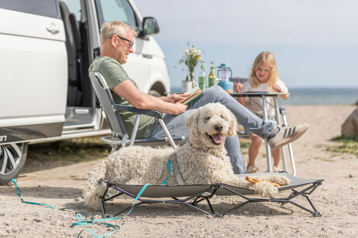Camping mit Hund: gut vorbereitet in euer nächstes Abenteuer